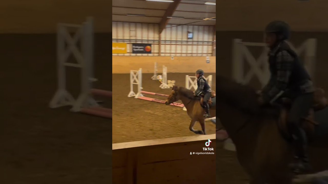 Você está visualizando atualmente Jumping with roleta#riding