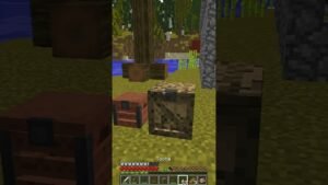 Leia mais sobre o artigo ABRINDO OS BAUS MISTERIOSOS #minecraft #mine #gameplay #gaming #jogos #jogando #shorts #chest